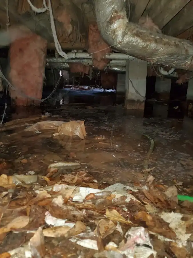 Crawl space flood assessment for Leak Detection & Repair in Ceres